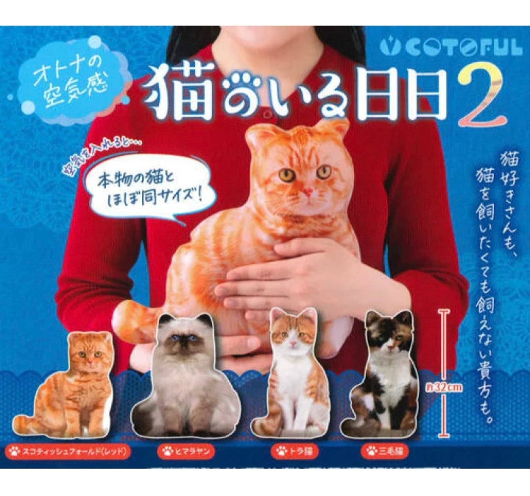 (COTOFUL) capsule オトナの空気感 猫のいる日日2
