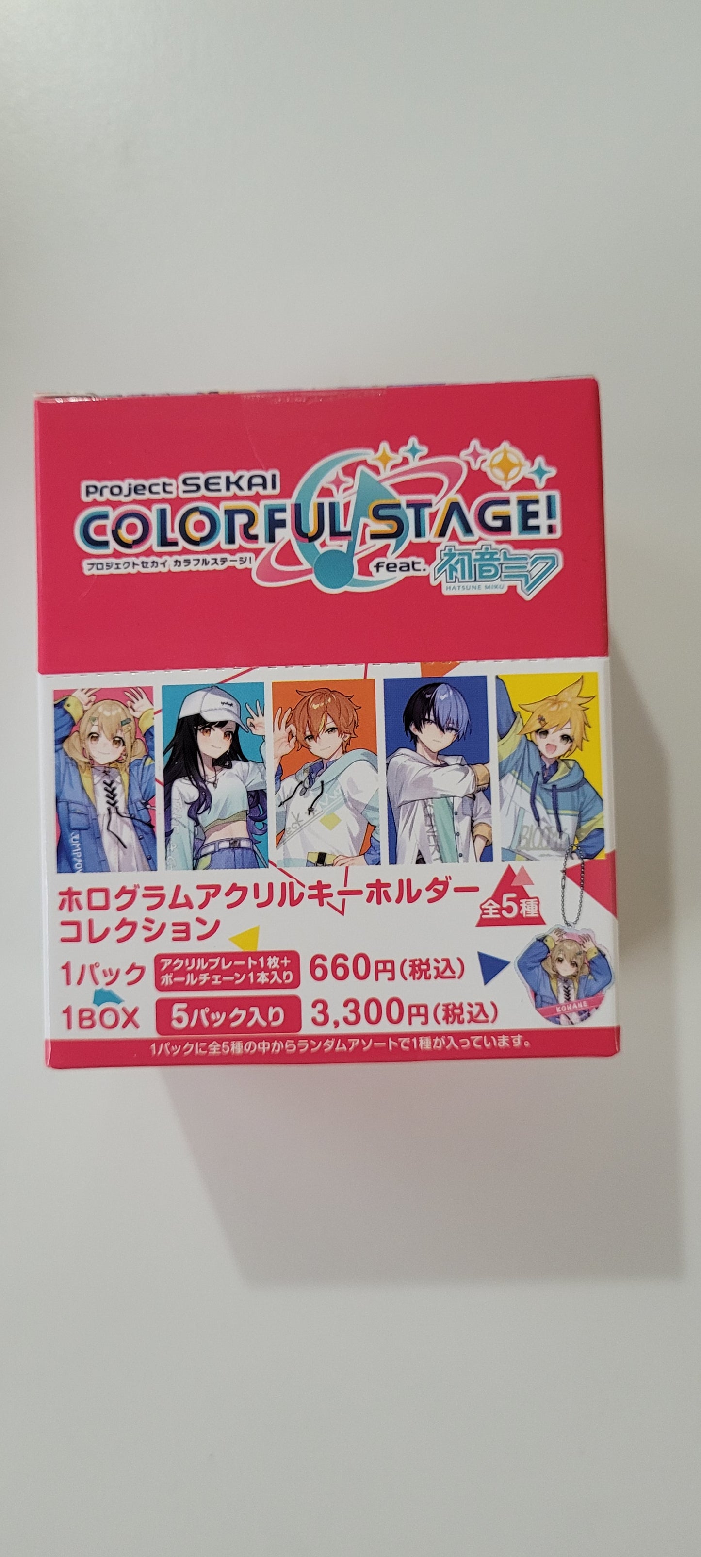プロジェクトセカイ カラフルステージ！ feat. 初音ミク　ホログラムアクリルキーホルダーコレクション(2024オンリーショップイラスト)／Vivid BAD SQUAD   tcb