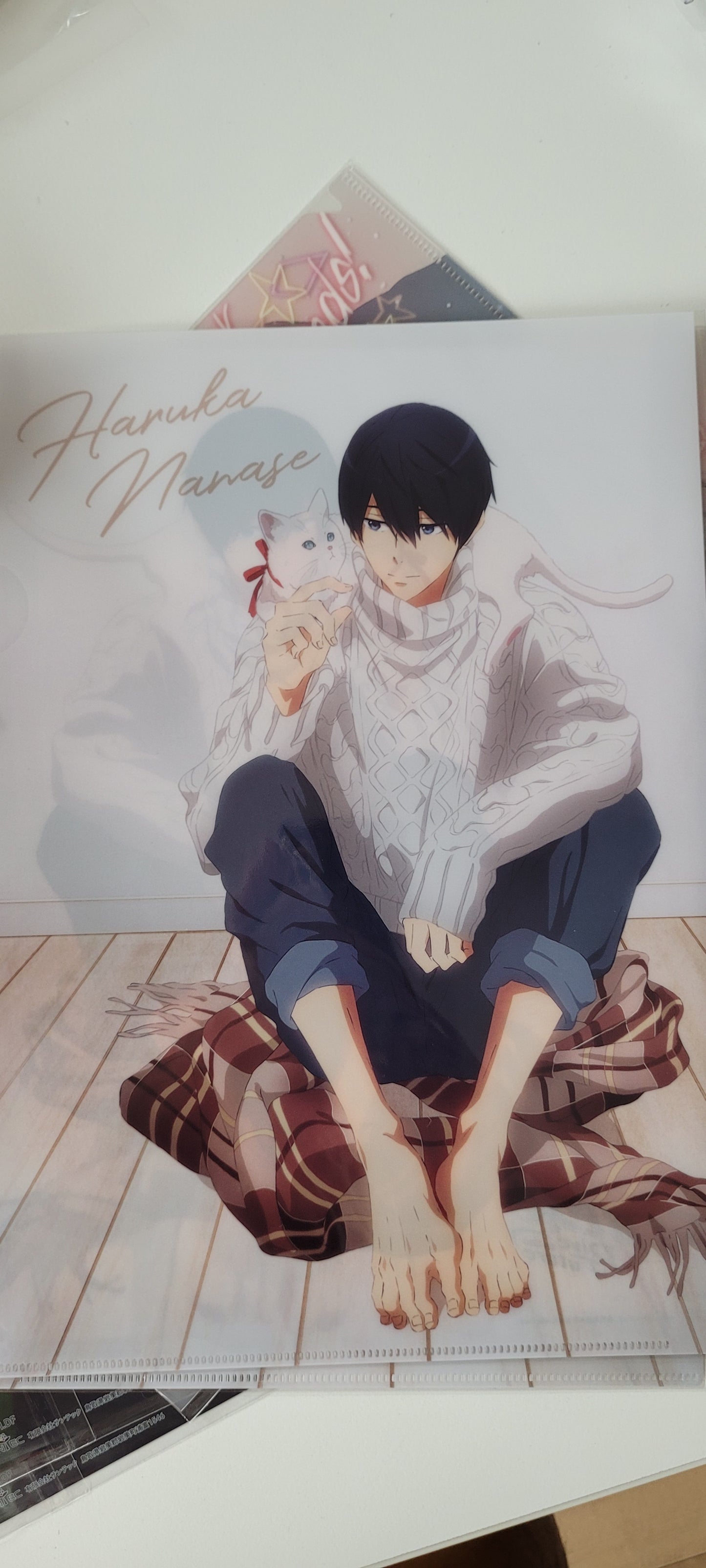 Free!-Dive to the Future- クリアファイルA 七瀬遥 free file