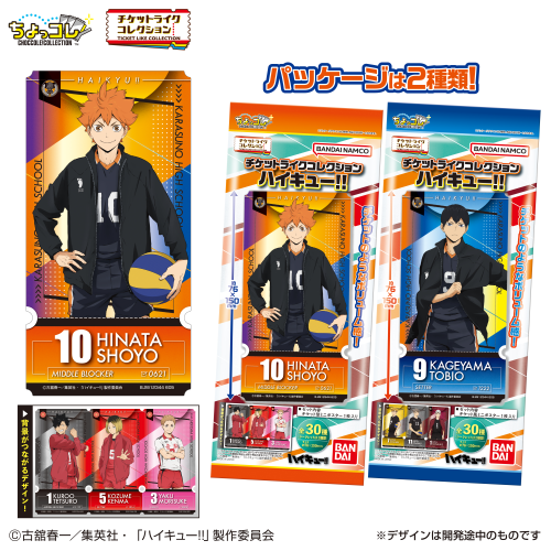 チケットライクコレクション ハイキュー!!