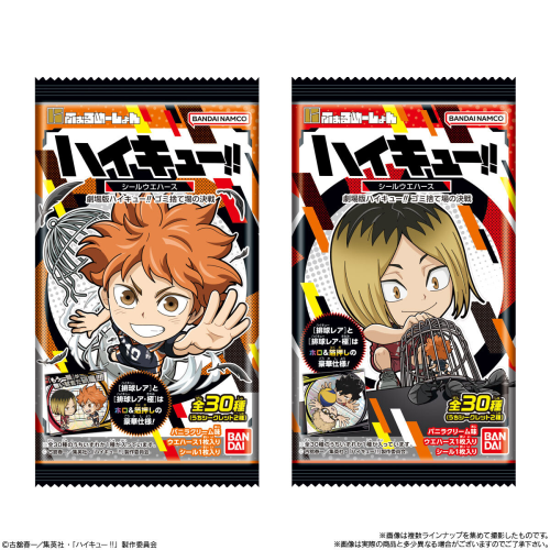 (BANDAI) にふぉるめーしょん ﾊｲｷｭｰ!! ｺﾞﾐ捨て場の決戦 ｼｰﾙｳｴﾊｰｽ